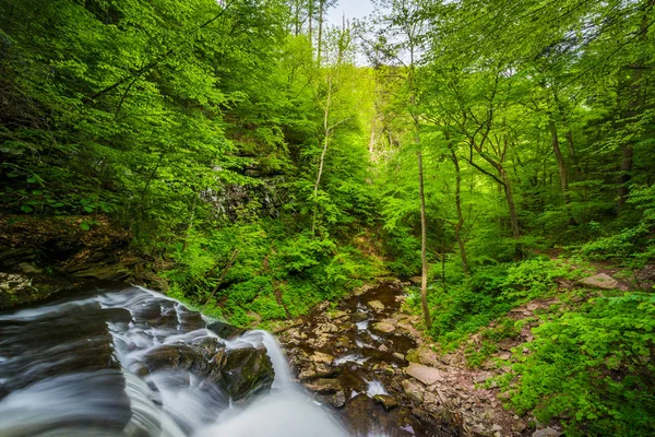 Vista de la parte superior de una cascada, en el Parque Estatal Ricketts Glen, Pen —  Fotos de Stock