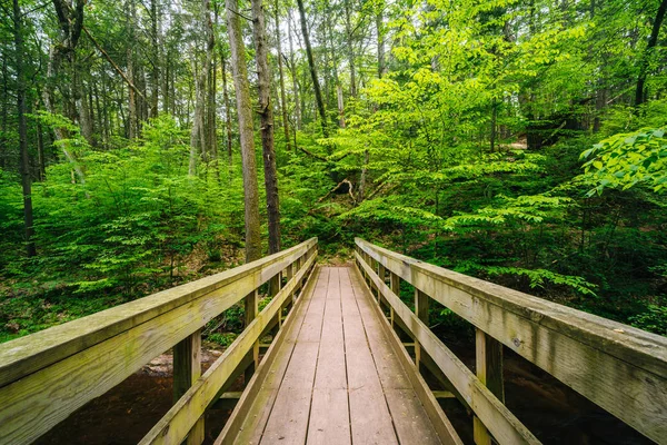 Dřevěný most na cestě v Ricketts Glen State Park, Pennsylvan — Stock fotografie