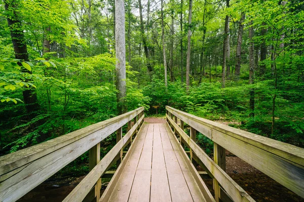リケッツ グレン州立公園、Pennsylvan の道の上の木製の橋 — ストック写真