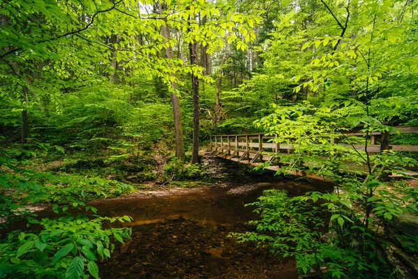 Passerelle en bois au-dessus du ruisseau Kitchen, à Ricketts Glen State Par — Photo