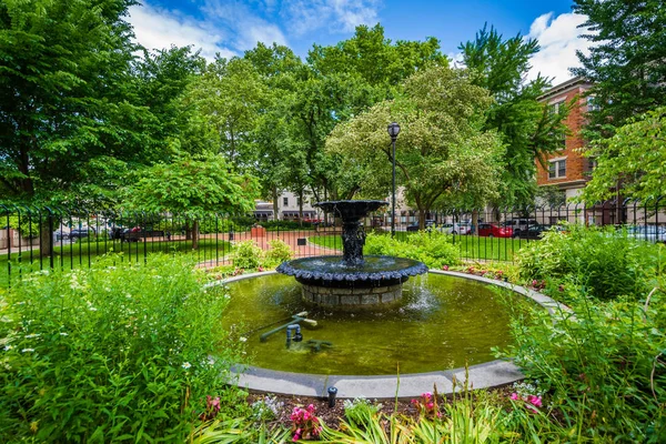 Fountain and gardens at Filter Square, in Philadelphia, Pennsylv — Stock Photo, Image