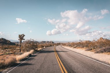 Joshua Tree National Park, Kaliforniya'da çölde yol