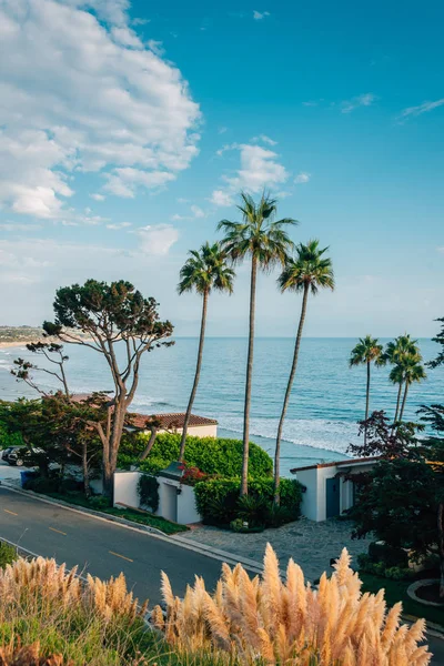 Palm trees and houses along the beach in Malibu, California — Stock Photo, Image