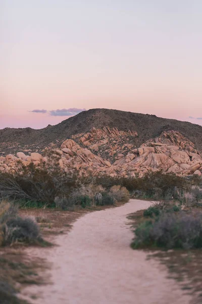 Hory a pouštní krajina při západu slunce, v vydání Joshua Tree National — Stock fotografie