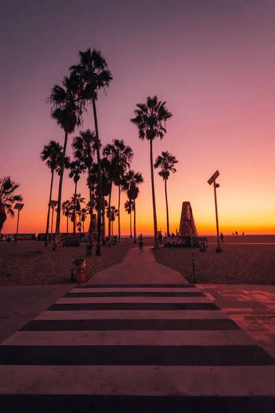 Gün batımında, Venice Beach, Los Angeles 'ta yaya geçidi ve palmiye ağaçları. — Stok fotoğraf