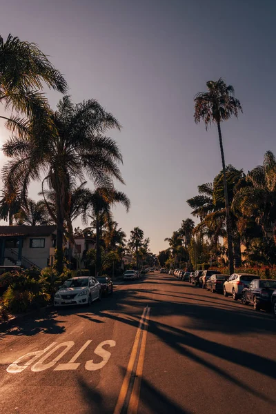 Palmové stromy na ulici Chapala v Santa Barbaře, Kalifornie — Stock fotografie