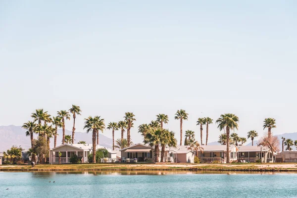 Palm trees and houses along Lake Tamarisk, in Desert Center, Cal — Stock Photo, Image