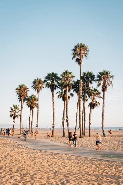 Santa Monica, Los Angeles, Kaliforniya sahillerindeki palmiye ağaçları — Stok fotoğraf