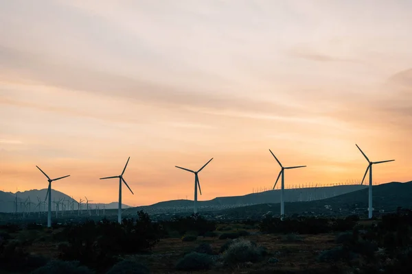 Palm Springs, Kaliforniya 'daki yel değirmenleri — Stok fotoğraf