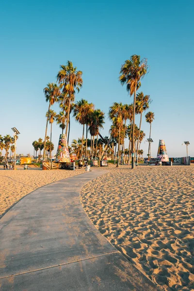 Venice Sahili, Los Angeles, Californi, sahilinde palmiye ağaçları — Stok fotoğraf