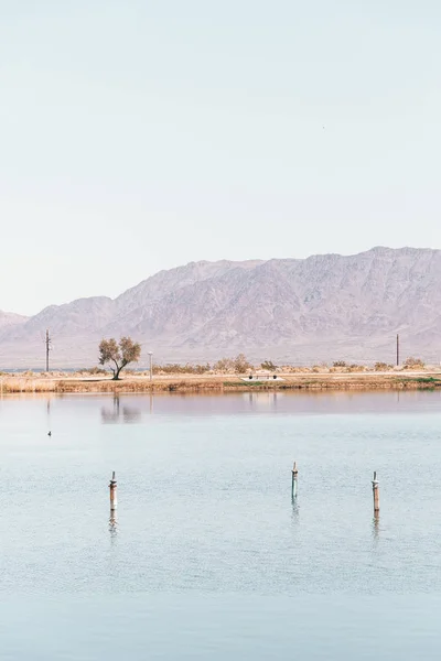 Tamariskensee, im Zentrum der Wüste, Kalifornien — Stockfoto