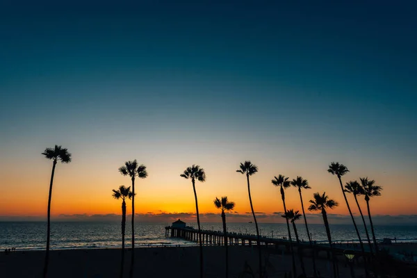 Manhattan Beach, California 'da gün batımında palmiye ağaçları — Stok fotoğraf
