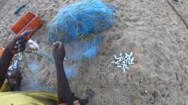 Balıkçılar balık ağından balık toplarken görüldü. Her sabah erkenden Chennai Hindistan Tamil Nadu marinasında çekilen görüntüler. Gopro kahramanı 7 siyah 4k 60fps sinemada düzenlenmemiş görüntüler