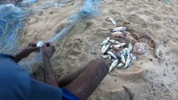 Pescadores Vistos Pegando Peixes Rede Pesca Filmagens Habituais Início Manhã — Vídeo de Stock