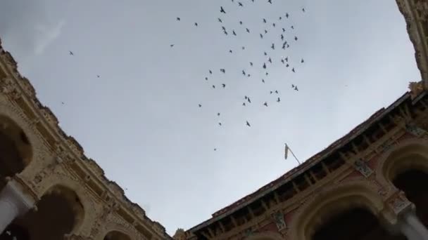 Gopro Hjälte Svart Oredigerad Film Insidan Vackra Hindu Religiösa Tempel — Stockvideo