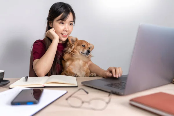 Güzel, genç Asyalı bir kadın uzaktan çalışıyor ve yalan söylerken gülümsüyor. Komik bir köpek evcil hayvan yardımcısıyla iyi ilişkileri var. Ev hayvanı konsepti.