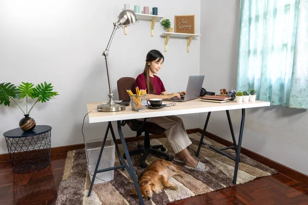 Pretty asian woman working remotely from home using laptop sitting on the couch or sofa in living room for work online with pet puppy cute dog and guardian, work life balance concep