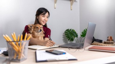 Evinde dizüstü bilgisayarla çalışan Asyalı güzel bir kadın. Oturma odasındaki koltukta ya da kanepede çalışıyor. Evcil köpek yavrusu gibi şirin bir köpek ve gardiyanla.