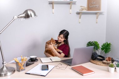 Evinde dizüstü bilgisayarla çalışan Asyalı güzel bir kadın. Oturma odasındaki koltukta ya da kanepede çalışıyor. Evcil köpek yavrusu gibi şirin bir köpek ve gardiyanla.