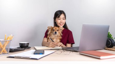 Güzel, genç Asyalı bir kadın uzaktan çalışıyor ve yalan söylerken gülümsüyor. Komik bir köpek evcil hayvan yardımcısıyla iyi ilişkileri var. Ev hayvanı konsepti.