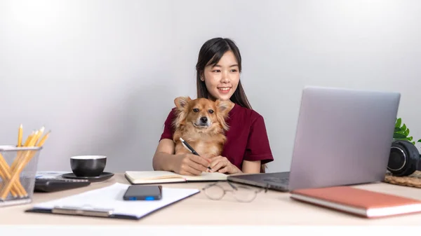 Güzel, genç Asyalı bir kadın uzaktan çalışıyor ve yalan söylerken gülümsüyor. Komik bir köpek evcil hayvan yardımcısıyla iyi ilişkileri var. Ev hayvanı konsepti.
