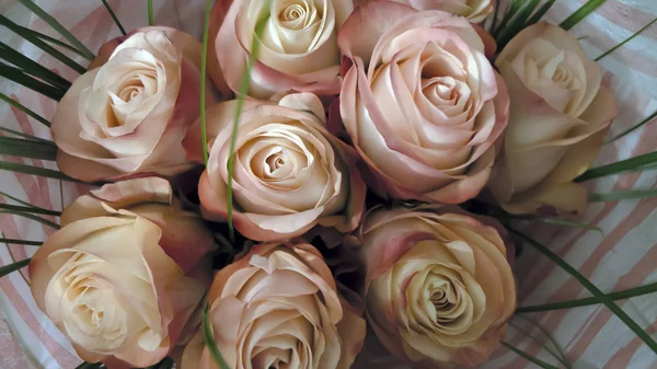 A bouquet of roses beige pink. The view from the top