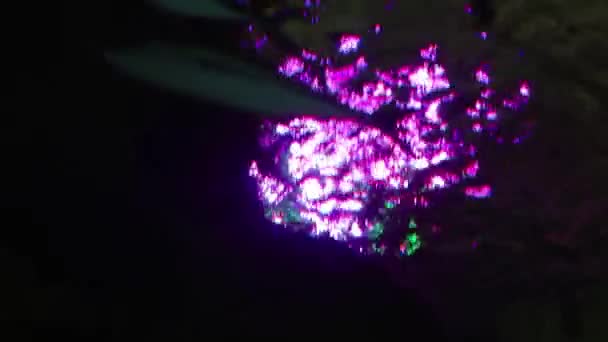 Ondas Luz Púrpura Agua Fondo Con Peces Para Texto Copiar — Vídeo de stock