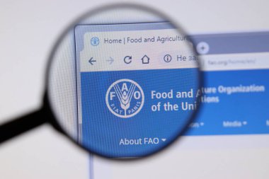 Los Angeles, California, Usa - 3 Aralık 2019: Gıda ve Tarım Örgütü web sitesi. Ekranda Fao.org logosu, İllüstrasyon Editörü