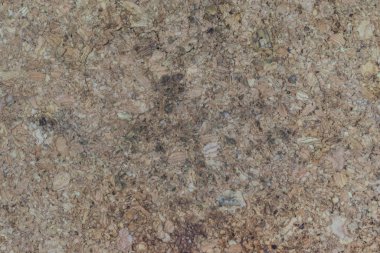 Hafif ahşap ve talaş dokusu. Boşluk arkaplanı kopyala