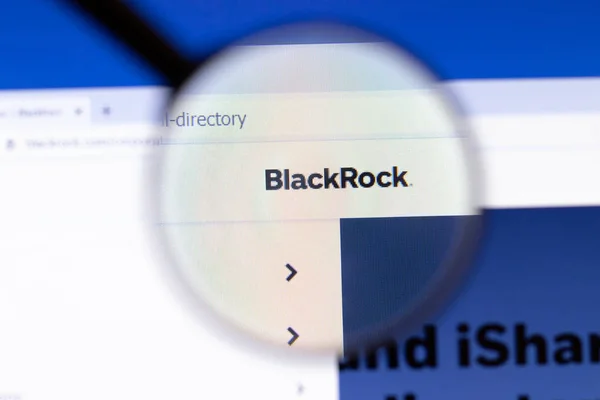 Los Angeles Kalifornien Usa Februari 2020 Blackrock Hemsida Ikon Blackrock — Stockfoto