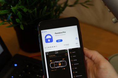 New York, ABD - 1 Mayıs 2020: Cep telefonu ekranında Pandora Pro uygulama simgesi logosu, İllüstrasyon Editörü.