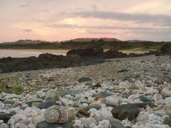 Akşam karanlığında kumsalda deniz kabukları