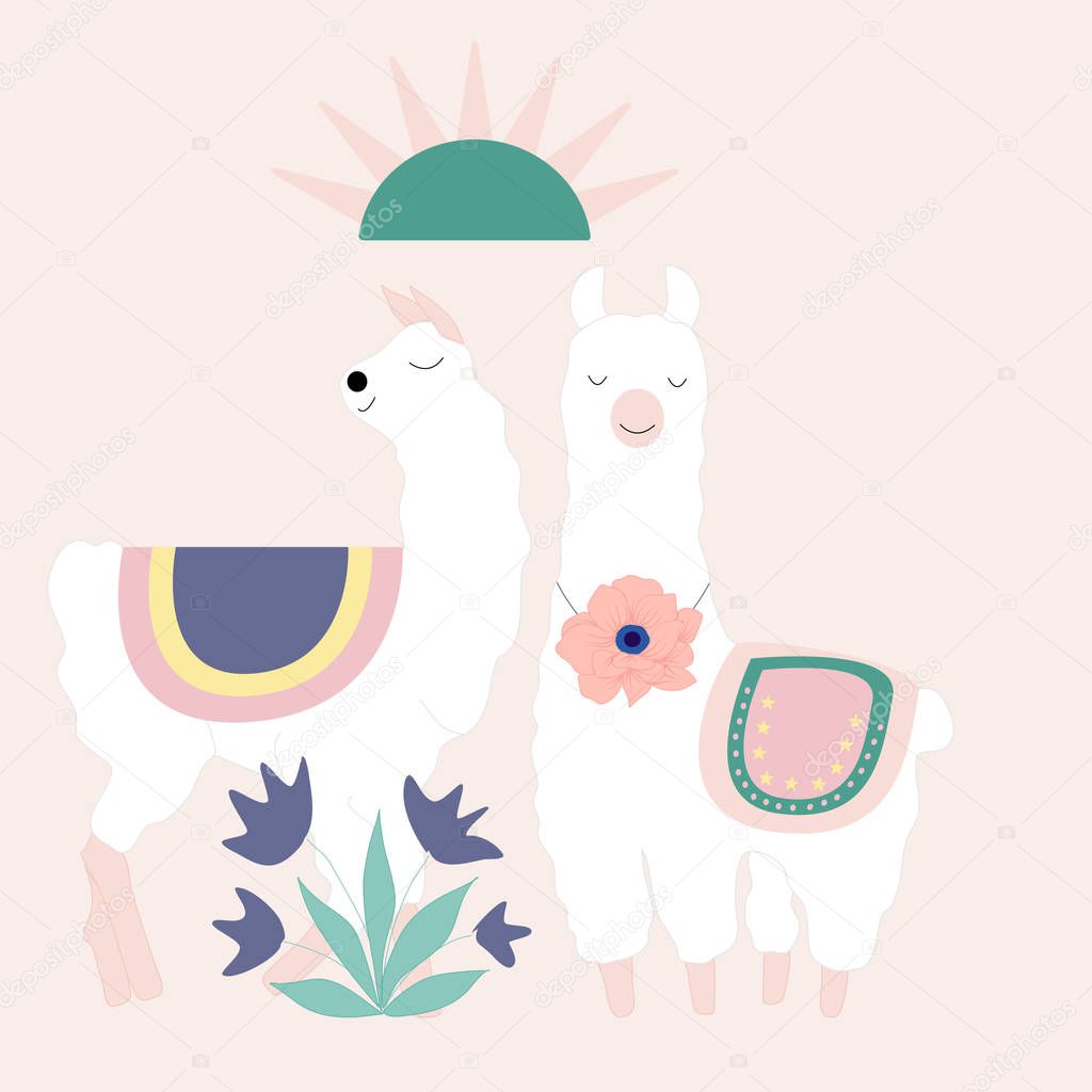 colorful sun, llamas and flowers, vector illustration
