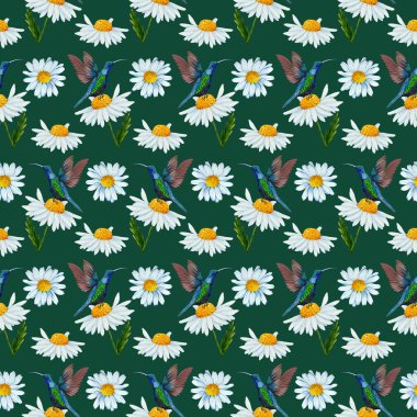 Papatya ve sinekkuşları kusursuz bir desen tasarladılar.