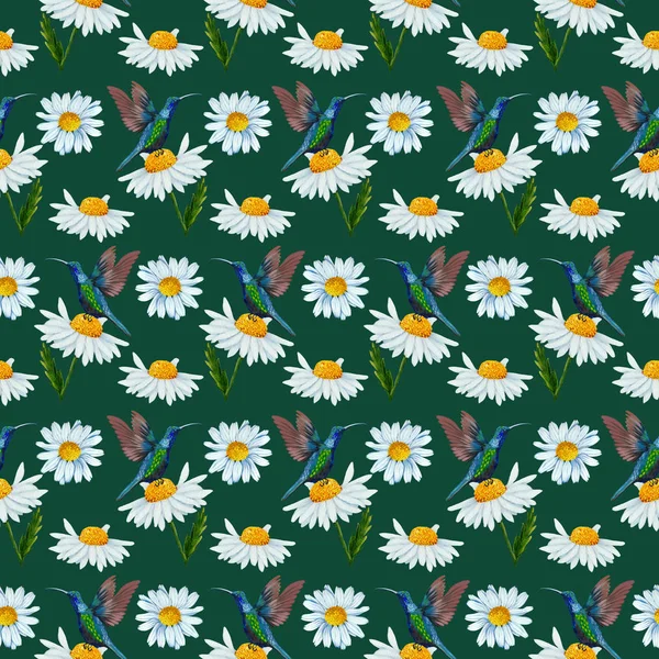 daisy and hummingbirds in a seamless pattern design