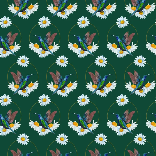 Gänseblümchen Rundrahmen Und Vögel Nahtloses Muster — Stockfoto