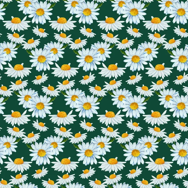 Seamless Pattern Daisy Composition — 스톡 사진