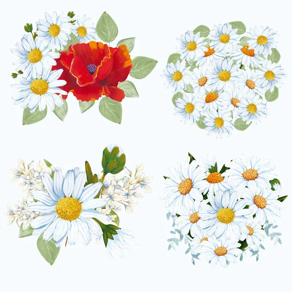 Set Hand Painted Daisy Bouquets Ilustração — Fotografia de Stock