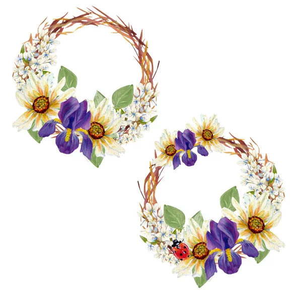 Conjunto Flores Silvestres Acuarela Coronas Iris Perfecto Para Usar Web —  Fotos de Stock