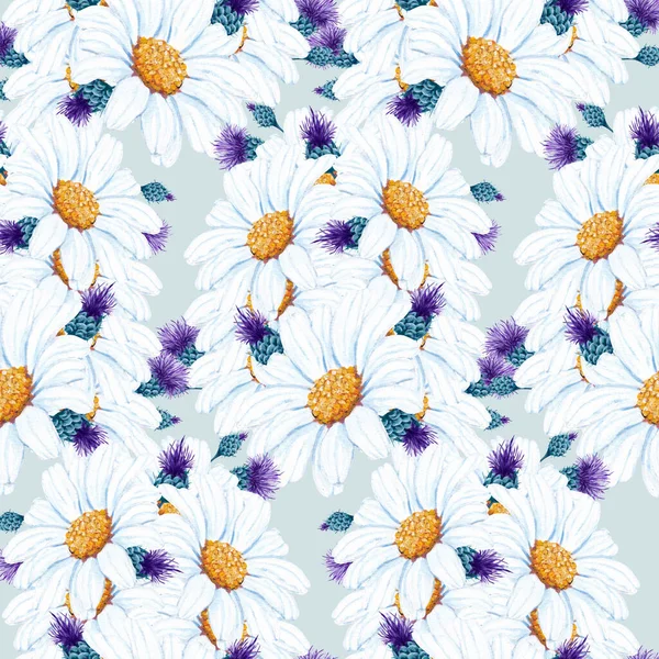 elegant daisy in a seamless pattern design