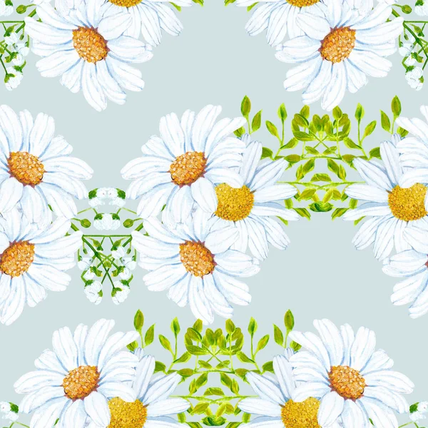 Diseño Patrón Sin Costuras Con Flores Margarita — Foto de Stock