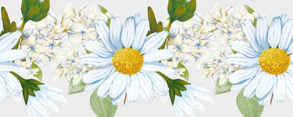 horizontal border with daisies bouquets
