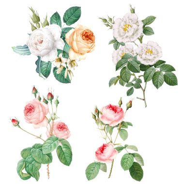 4 eski gül seti düzenlemesi.