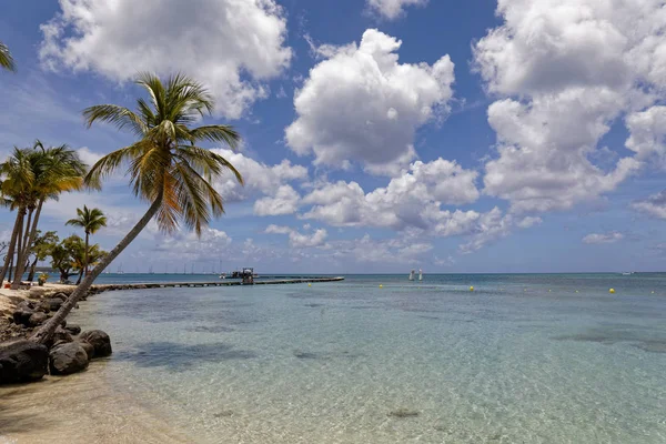 Sainte Anne Martinica Fwi Pointe Marin Beach —  Fotos de Stock