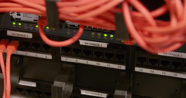 Det konsult Anslut nätverkskabeln i panel på datacenter — Stockvideo