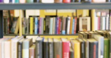 Kız öğrencinin okul Kütüphanesi kitap arıyorum