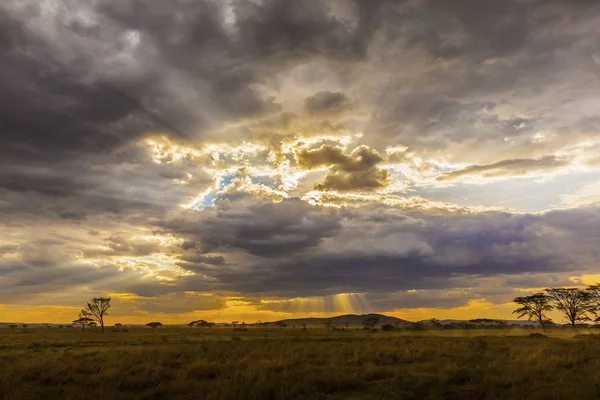 Beau et dramatique paysage africain — Photo