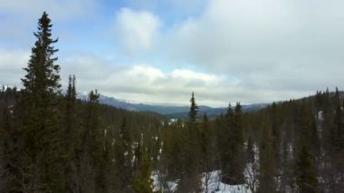 Dağ manzarası kış ormanda yukarıda uçan