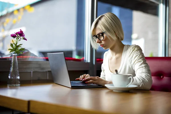 Junge fokussierte Frau arbeitet in Café am Laptop — Stockfoto