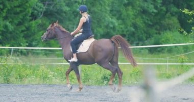 Güzel genç kadın onun Arap atı çiftliğinde binicilik